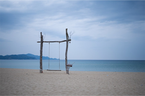 流木アートのブランコ ゆらり